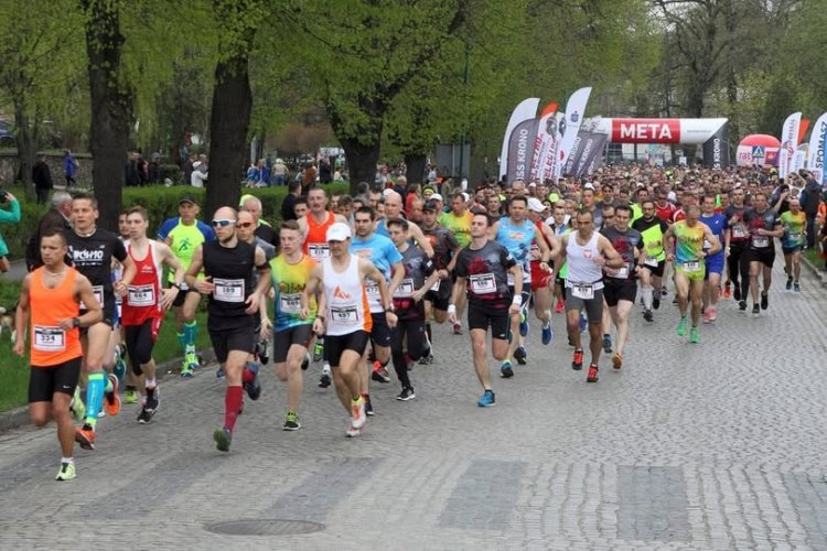Festiwal Biegowy po Zielonym Lesie – Żary 2026
